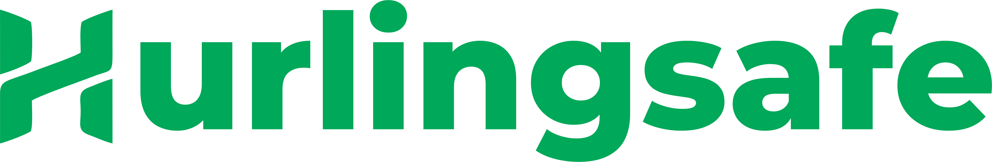 Hurlingsafe  